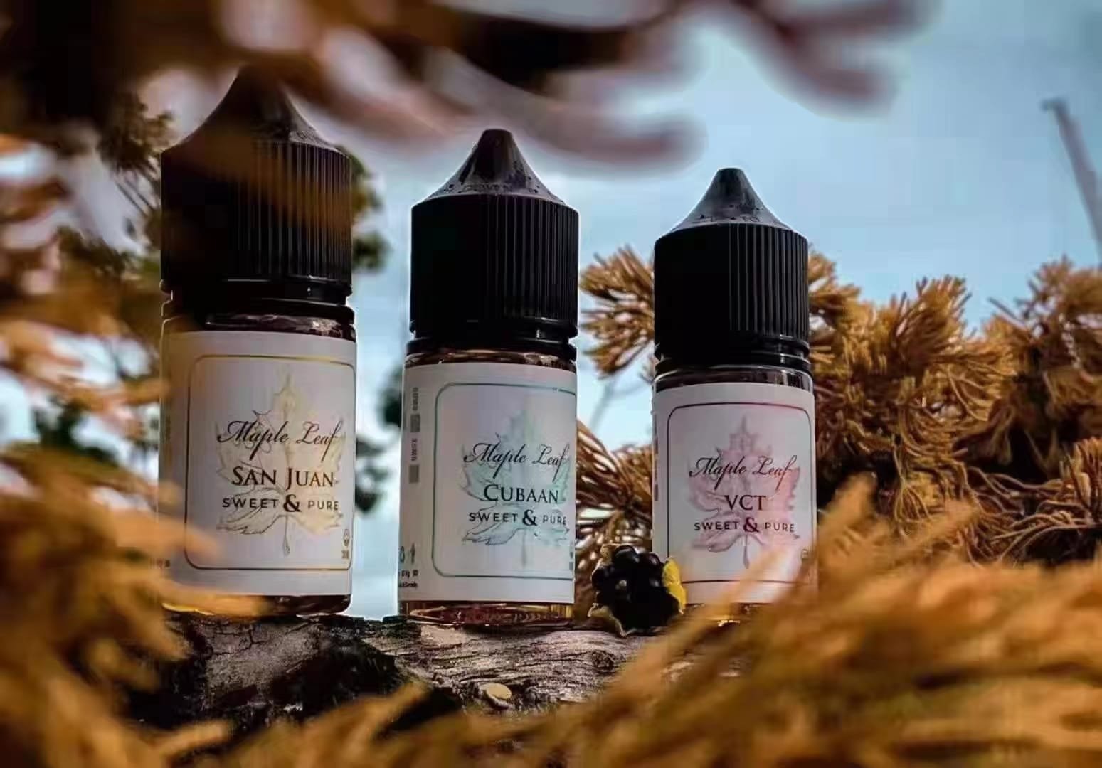 Maple-Leaf楓葉煙油.jpg Maple Leaf楓葉煙油30ML 小煙煙油:圖片 1